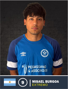 Misael Burgoa Fernandez
